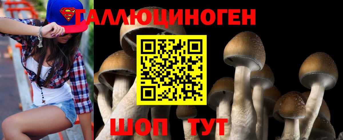 Конаково  Галлюциногенные грибы ЛСД  Вход с VPN 